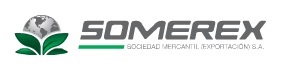 cliente10